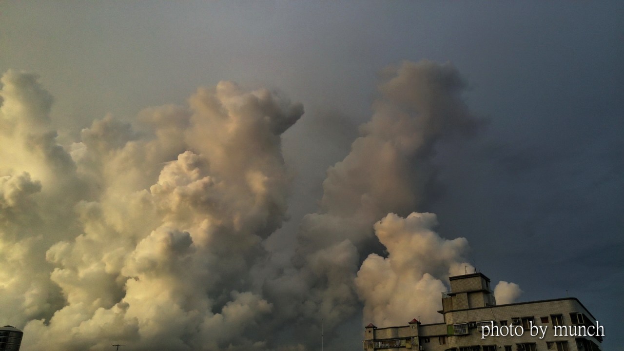 【高溫時代】打造風水林的抗溫城市