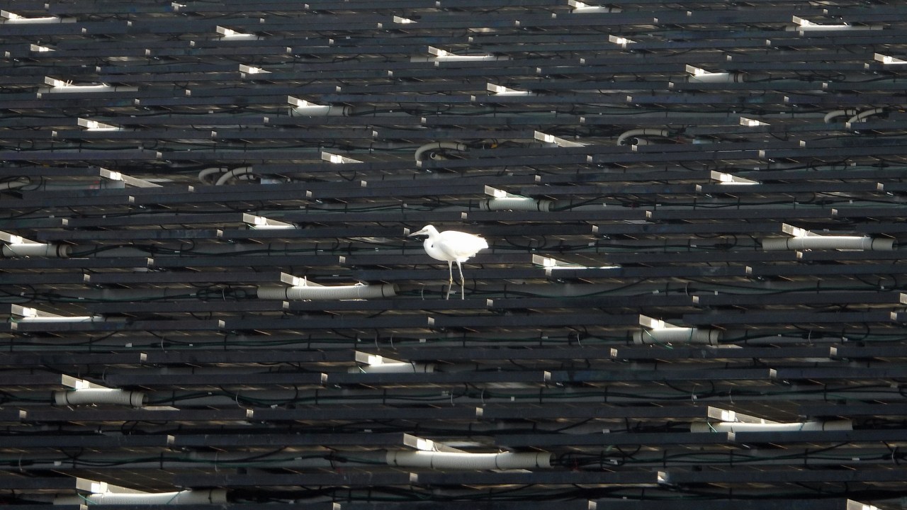 【圖輯】這些年，光電產業的毀壞與救贖