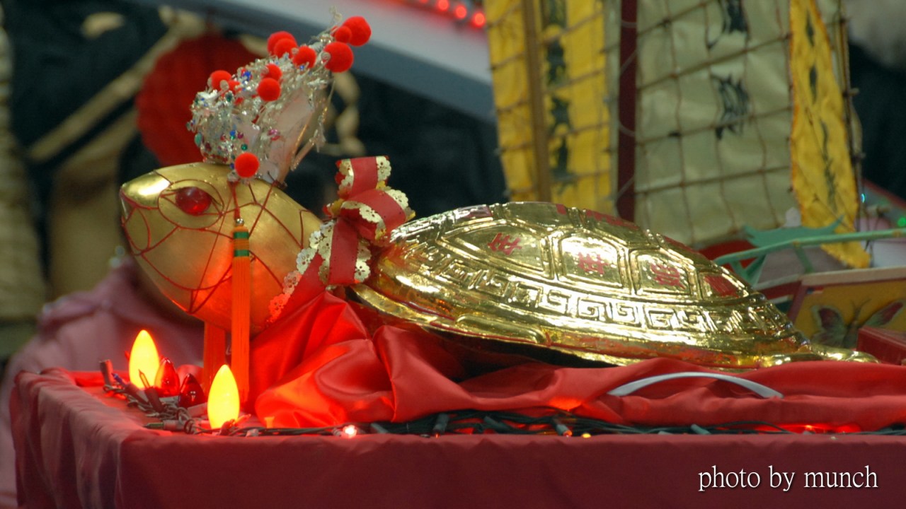 【元宵到！澎湖來乞龜】