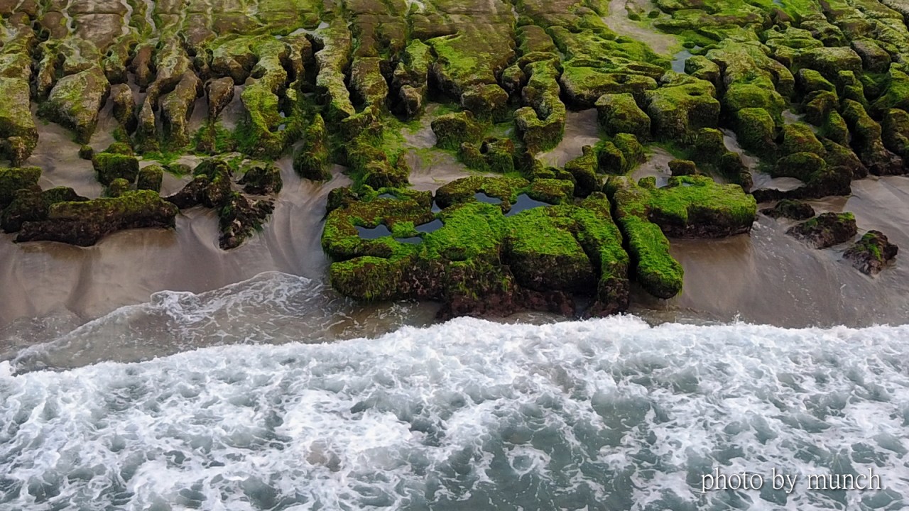 【老梅綠石槽。四季】