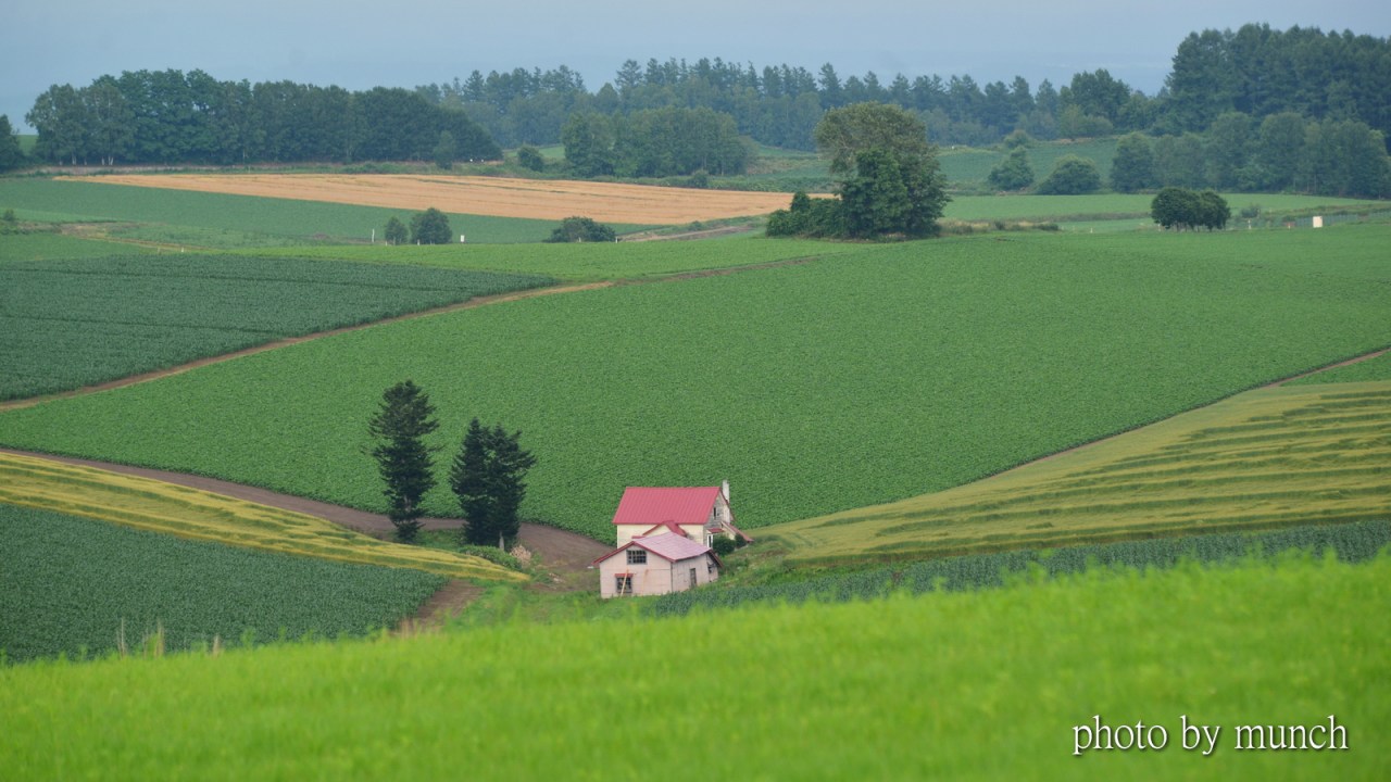 那年七月。北海道