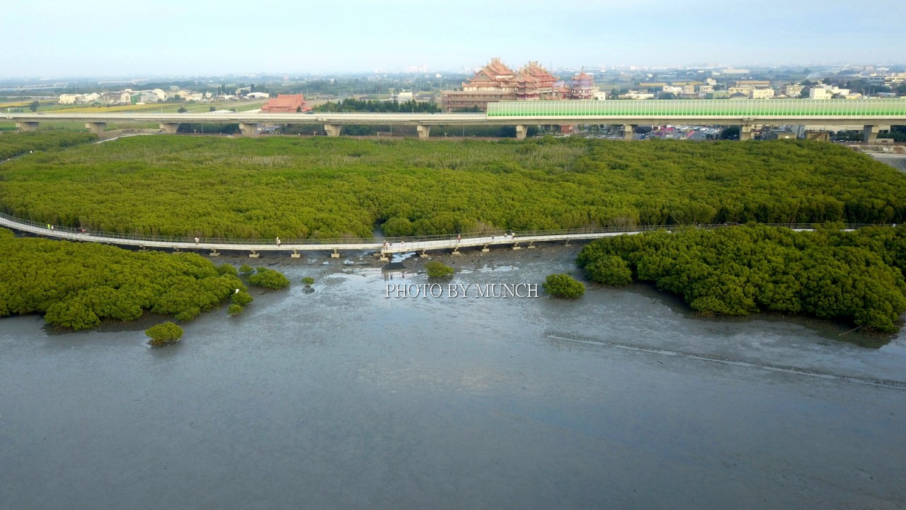 【減碳好願景_廣種紅樹林憂慮破壞生態】