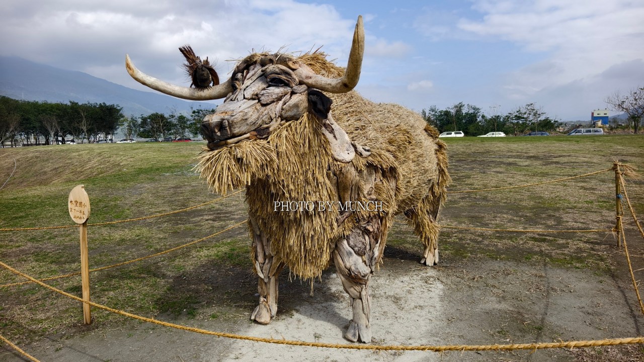 【走春救國旅2_2025富里稻草節之非洲大草原】