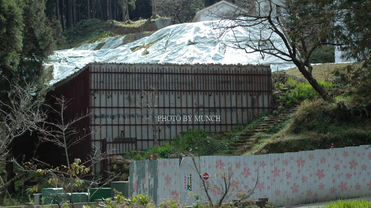 【一晚曾喊30萬_4萬5已算佛心_阿里山賓館的山林前世】