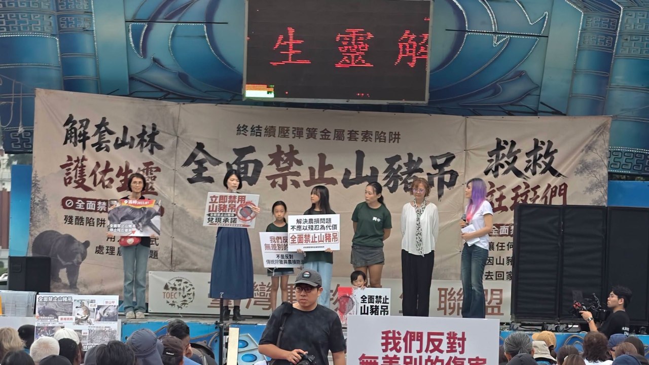 【全面禁止山豬吊_浪犬也該離山林】
